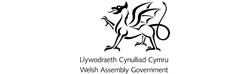 Welsh Assembly Logo